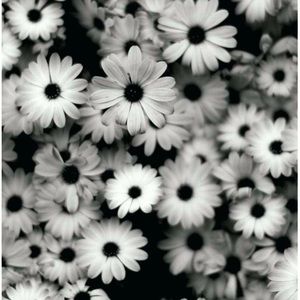 Meet your Posher, Mariyah